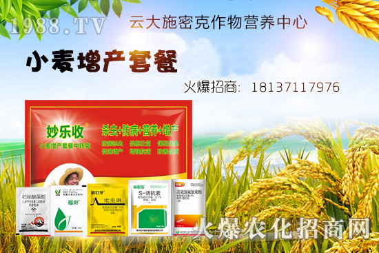 С�����N�󲻳�������ʲôԭ����ɵ���