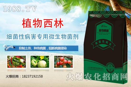 ����̿�Ҳ��Y����ʲô������̿�Ҳ��l(f��)��ԭ�򼰷���