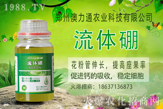 ⛷ʃr(ji��)����m(x��)���q��2020-10-30��(gu��)��(n��i)⛷ʃr(ji��)���(b��o)�r(ji��)һ�[