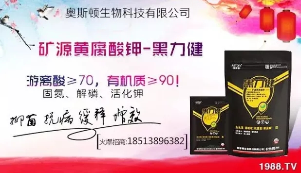 ����ʲô�r�g���N��ע�����(xi��ng)����Щ�����ش���Nֲ�r�g����