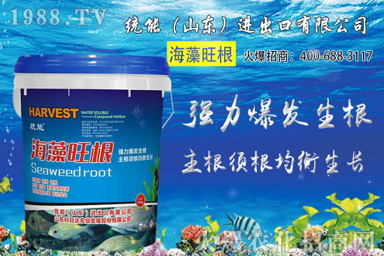 С���Nֲ�r�g��δ_����2020��С���Nֲע����Щ���}��