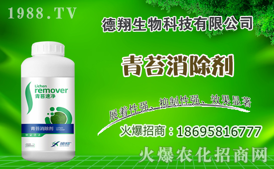 �Ͳ�ʲô�r�g�Nֲ���Ͳ˷Nֲ������ʲô������Щע�������