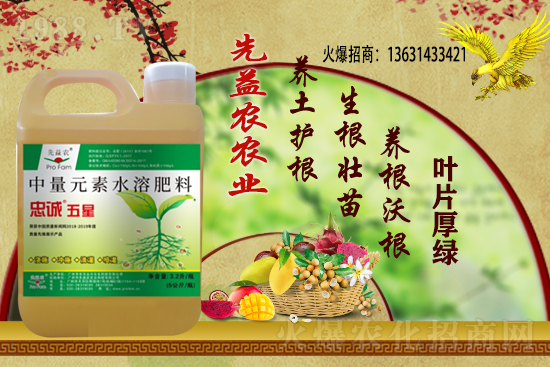 С���r������Xһ��������С���r�����飡