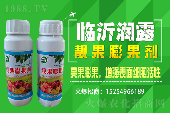 水稻價(jià)格野蠻上漲,漲價(jià)原因已揭開(kāi),能漲到1.6嗎?