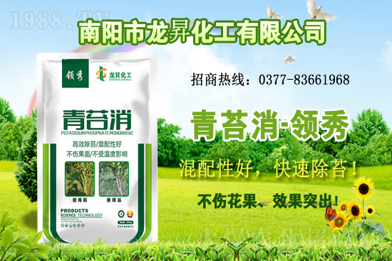 �󶹹����������r����m(x��)�ϝq�����ش󶹃r������