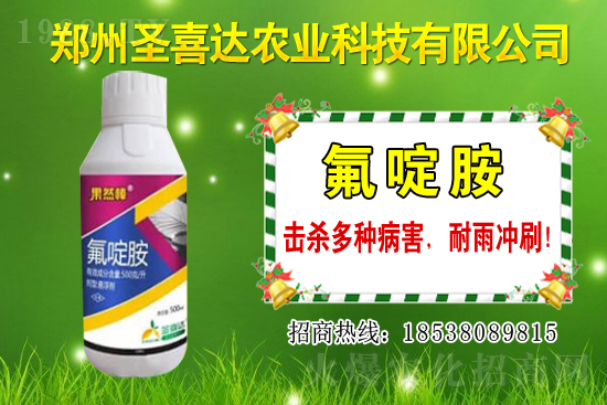 �������N��������Щ���������Ժ�ʲô�����׷N��