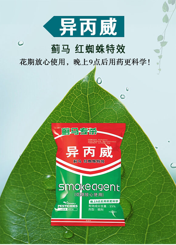 15%������-�E�R����-�����S_01