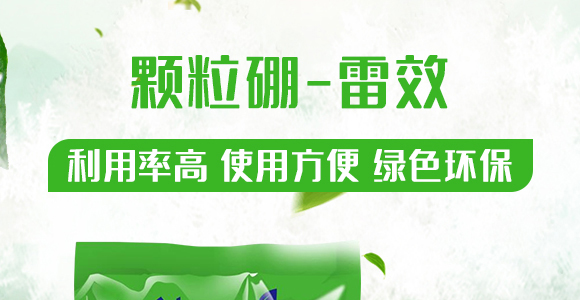 �w����-��Ч-�����r�I(y��)_01