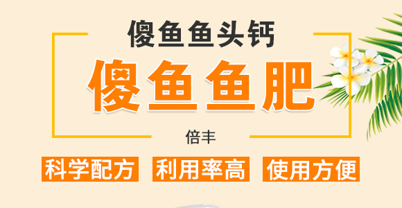 ɵ�~�~�^�}-ɵ�~�~��-���S_01