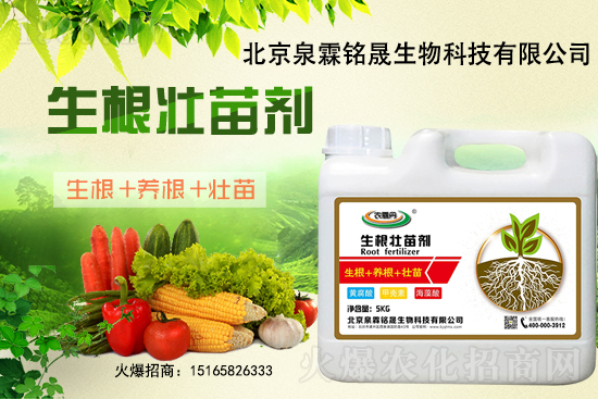 2020-11-26日國(guó)內(nèi)部分產(chǎn)區(qū)花生價(jià)格行情