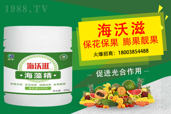 ��ɲ�ݮ��С��ʲô���أ���ô���M��ݮ�������