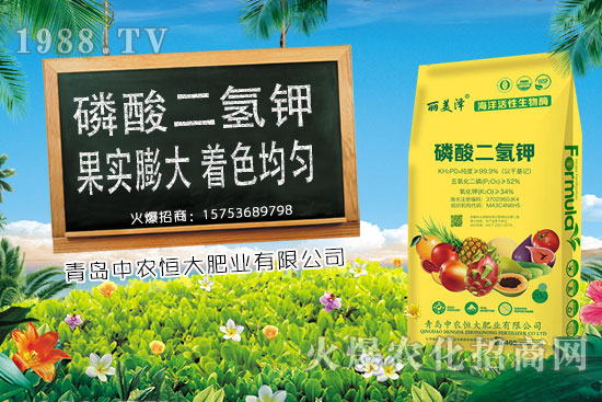 ����С���r���ϝq�������Ƿ�����m(x��)�ϝq��