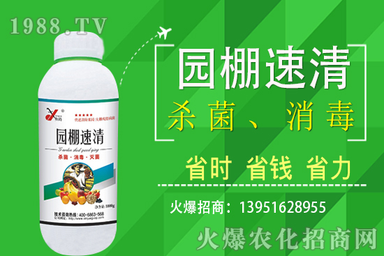 2020��11��5�վֲ������r(ji��)���(b��o)����