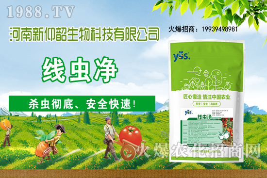 11��6�Շ�(gu��)��(n��i)С���r(ji��)���ව(w��n)���ֲ�С������(d��ng)��