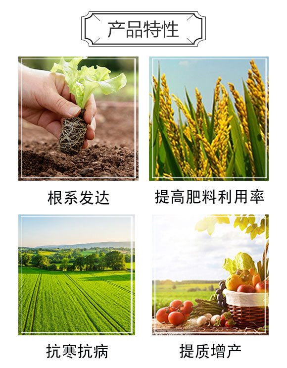 雷效礦源黃腐酸鉀-嘉田農(nóng)業(yè)_03