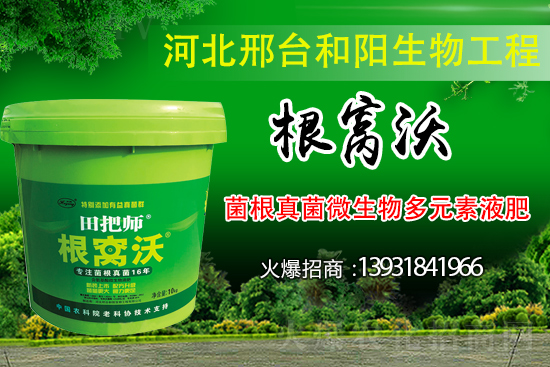 ��Щ��������������������ȡʲô��ʩ���Է�����