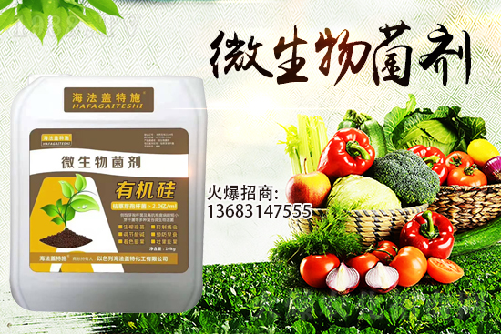 �������u��������m(x��)�͜�����������Ҫ�c��