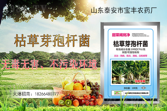 �ݲ�ѿ�ߗU���ܽ�Q������Щ���}���ݲ�ѿ�ߗU�����r(n��ng)�����ϵđ�(y��ng)����