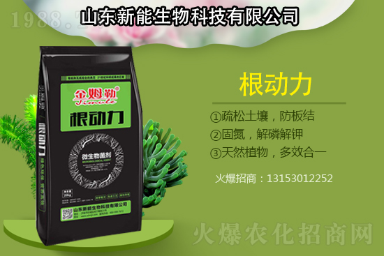 �������������ԭ�����ģ���Q����������ʩ��ô����