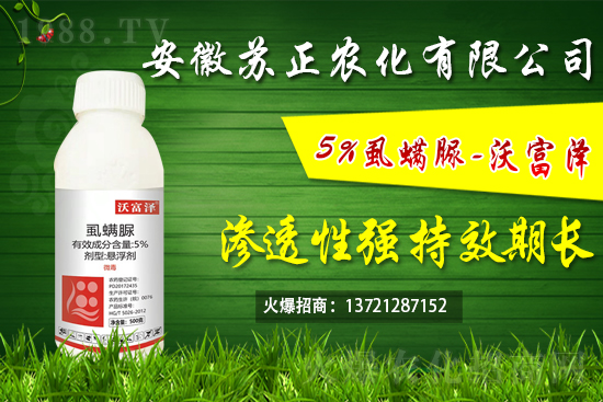 ʭ���嚢�xЧ��������ʭ��������ú͏���ʹ�÷�����