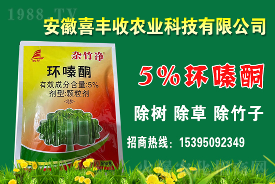 1 環(huán)嗪酮的作用機理有哪些?該如何復配?環(huán)嗪酮適合作物及應(yīng)用范圍!