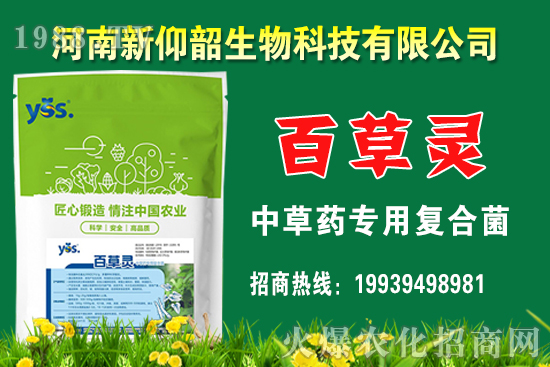 ����С���r��߀���q�᣿2020��12��С���r�����������