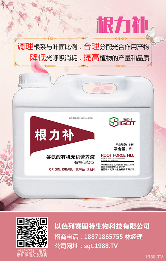 С��������Ҋ�Ĳ�������Щ��ԓ��η���������С���������η�����B