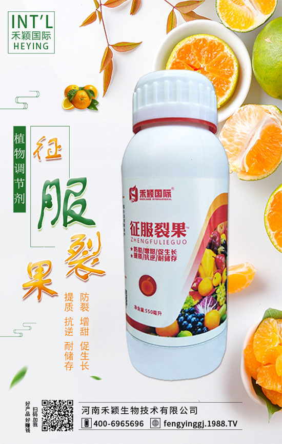 ����ʲô�r�g�m���ԷN�����ٷ�ˮ��������Щ��