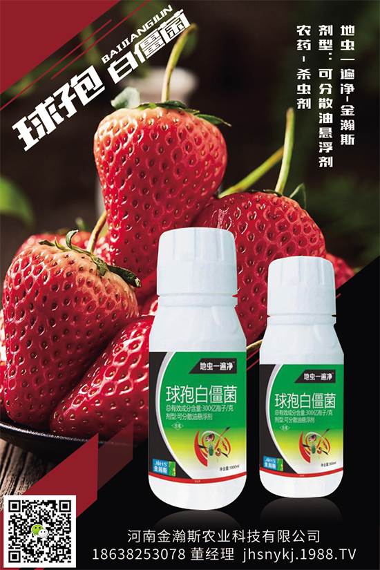 ���x(ch��ng)��ԭˎ�r(ji��)��