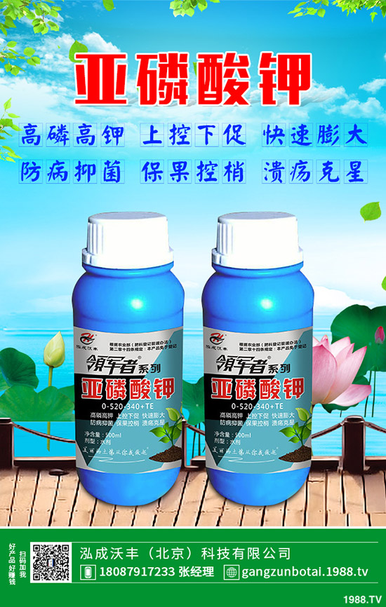 有機蔬菜與無公害蔬菜的區(qū)別,無公害蔬菜如何防蟲?