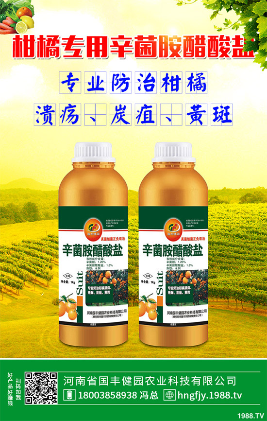 ��ɭ(li��n)�������r��