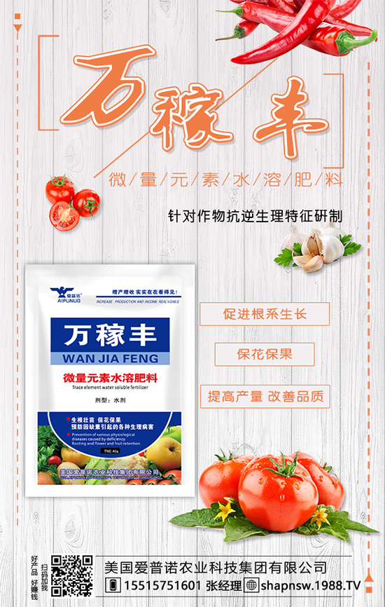 茶葉是什么時(shí)候種植的?茶葉的市場(chǎng)前景及種植效益!