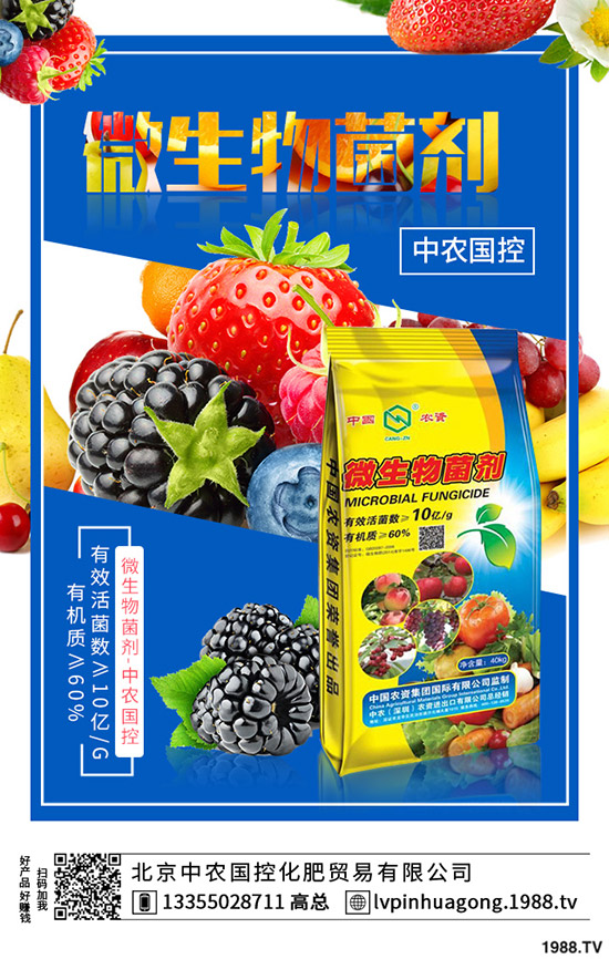 �����ʲô�I(y��ng)�B(y��ng)�r(ji��)ֵ����ϵĹ�Ч��ʳ��ע�����(xi��ng)��