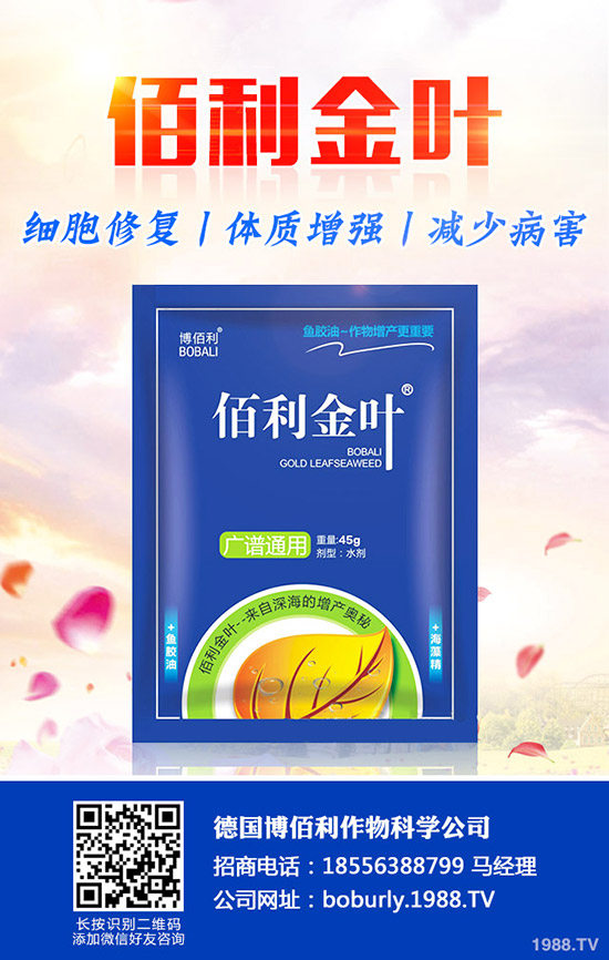 ����(sh��)����A(y��)���ʺ����l(f��)���ʺ�������a(b��)����