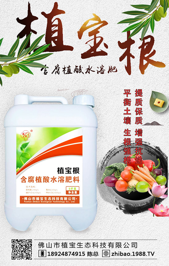 �紺���������Jʲô�r�g�N�������J��ֲ�����Ҫ�c(di��n)��