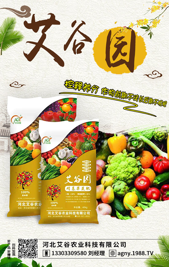 �O����ʩ�ʲ�����ʺ������ҽ�������A���ʺ���