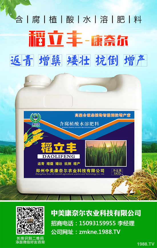 С�����·����������������ж��Ӱ���ԓ����a����С�����·��r(n��ng)��ָ��