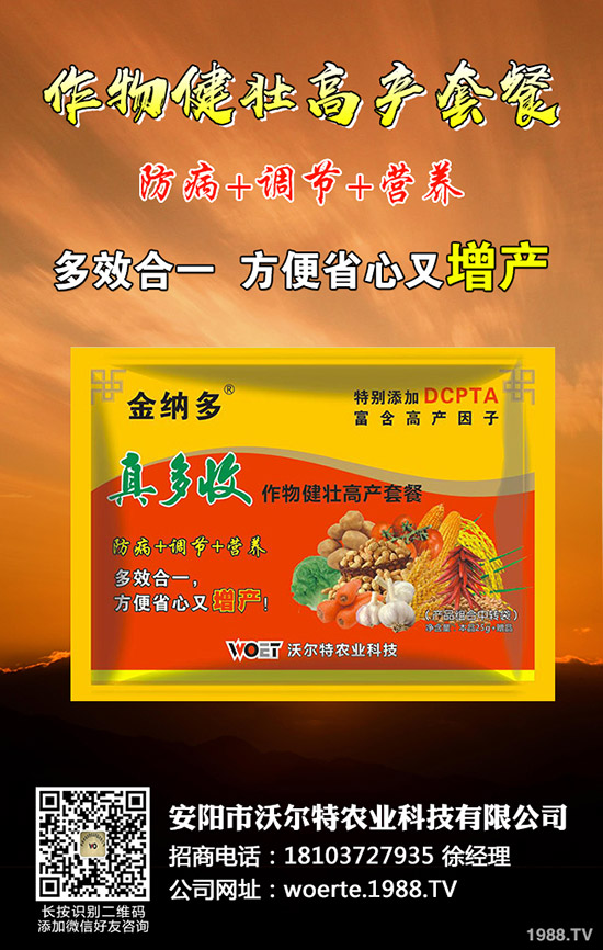 ������ô�N����������ѷNֲ�r(sh��)�g�����༼�g(sh��)��