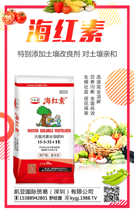 辣椒種植發(fā)展的現(xiàn)狀如何?辣椒高產(chǎn)種植技術(shù)要點(diǎn)!