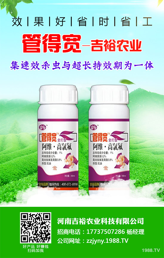 �����������x�������������������g(sh��)����