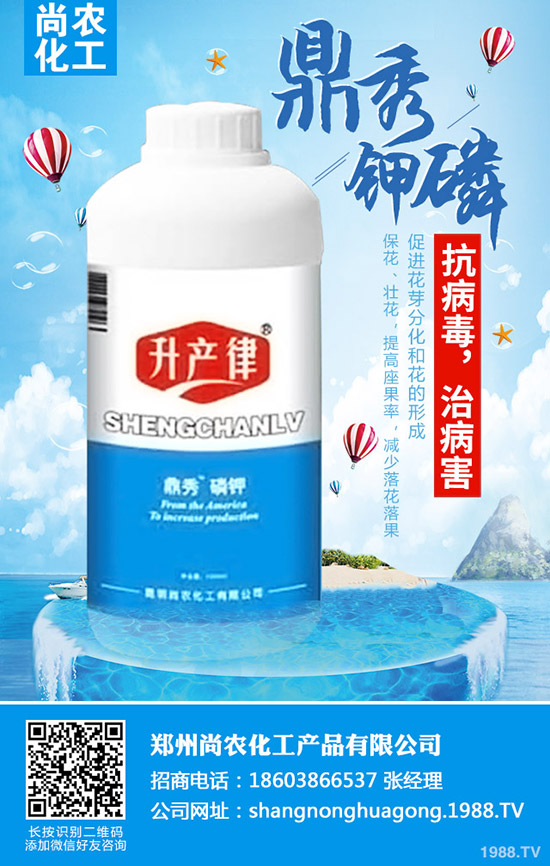     ���{(l��n)���Y(ji��)����ô�k�����{(l��n)���Y(ji��)��ԭ�򼰷��δ�ʩ��