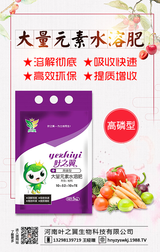 �������L��������Щ�����ɵ����g����Ҫ�c��