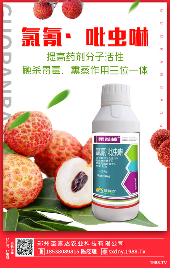 ��������ӛ���������x�y��߀�������������T��Ҫ���(qu��n)��������