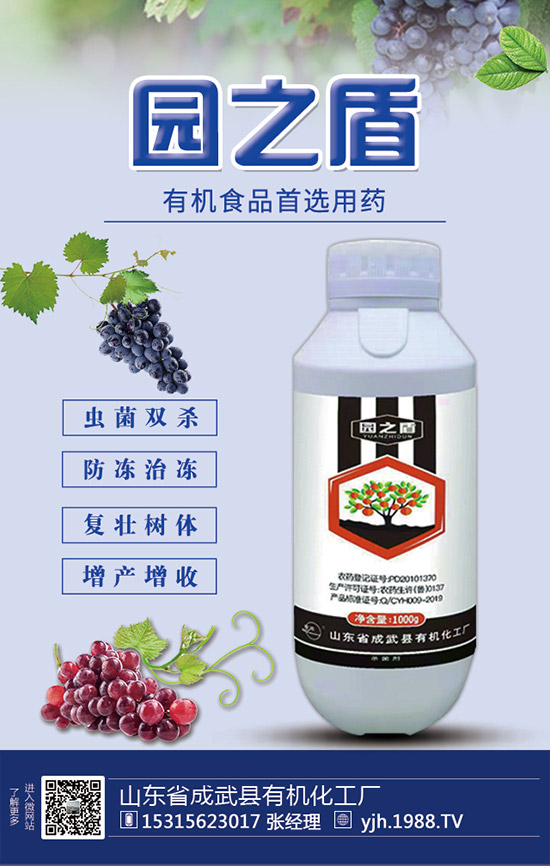 �J�S���ʩ�����J�S��ʲô���Ϻ����J�S������c��ע�������