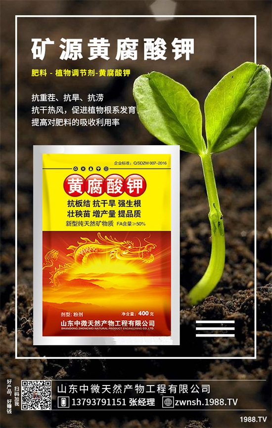 ������ԓ��η�ֳ�������ǵķ�ֳ���g(sh��)�������