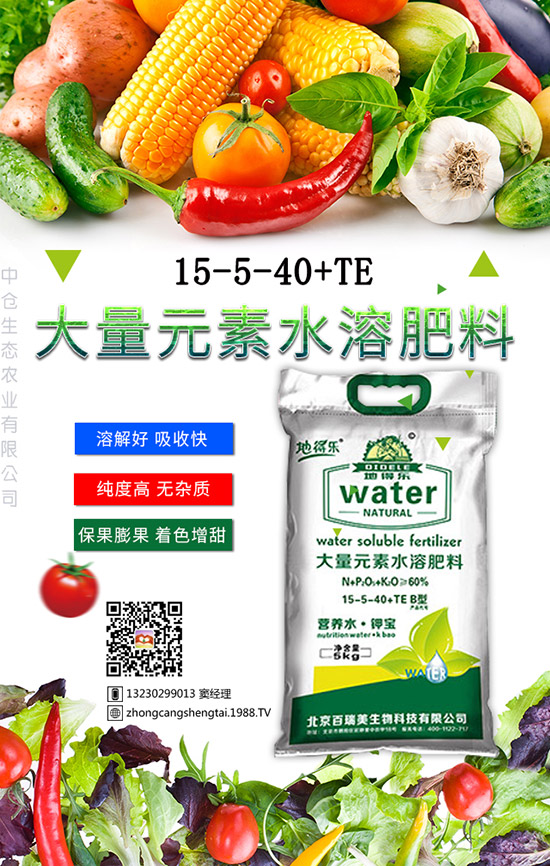 仙人球這樣養(yǎng)才不會(huì)死!金琥繁殖及栽培養(yǎng)殖管理!