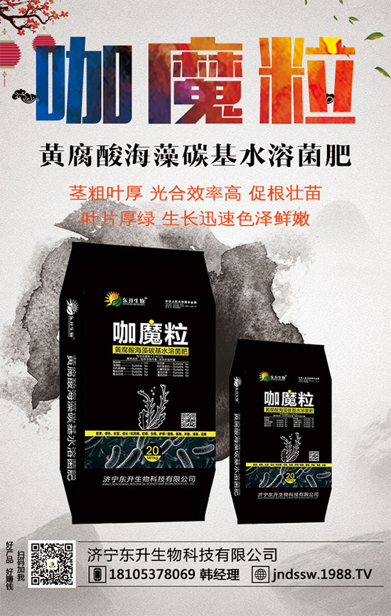 С����ʲô�g�Nֲ�r(sh��)��С���۷Nֲ����Ҫ�c(di��n)��