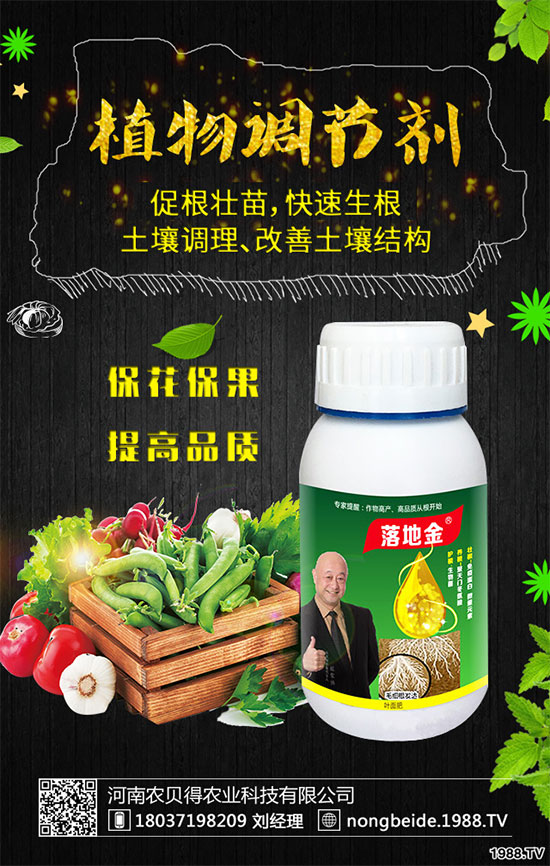 С��������Щʳ�Ãr(ji��)ֵ��С���۵��ΑB(t��i)������