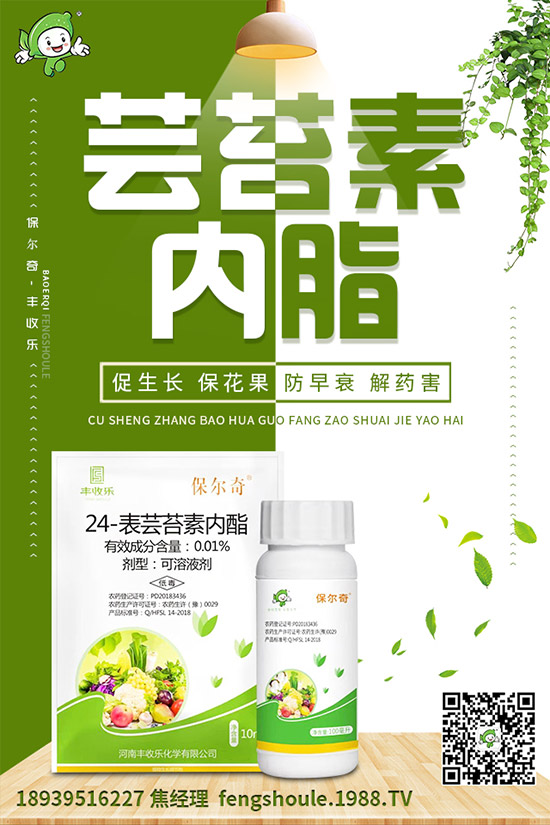 �������ô�޽�����ϼ޽Ӹ߮a(ch��n)�Nֲ���g(sh��)��