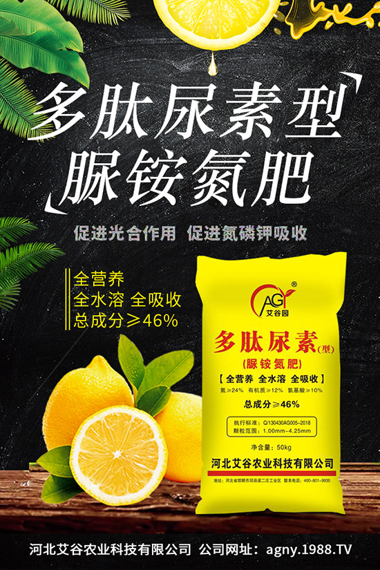 �ļ����NֲҪ�c���ļ������缼�g(sh��)�����ڹ���